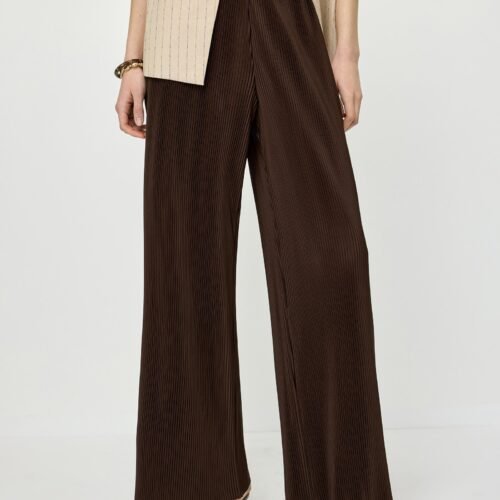 Pleated Wide-Leg Pants