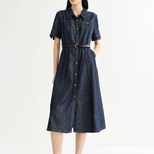 Utility Collared Denim Dress